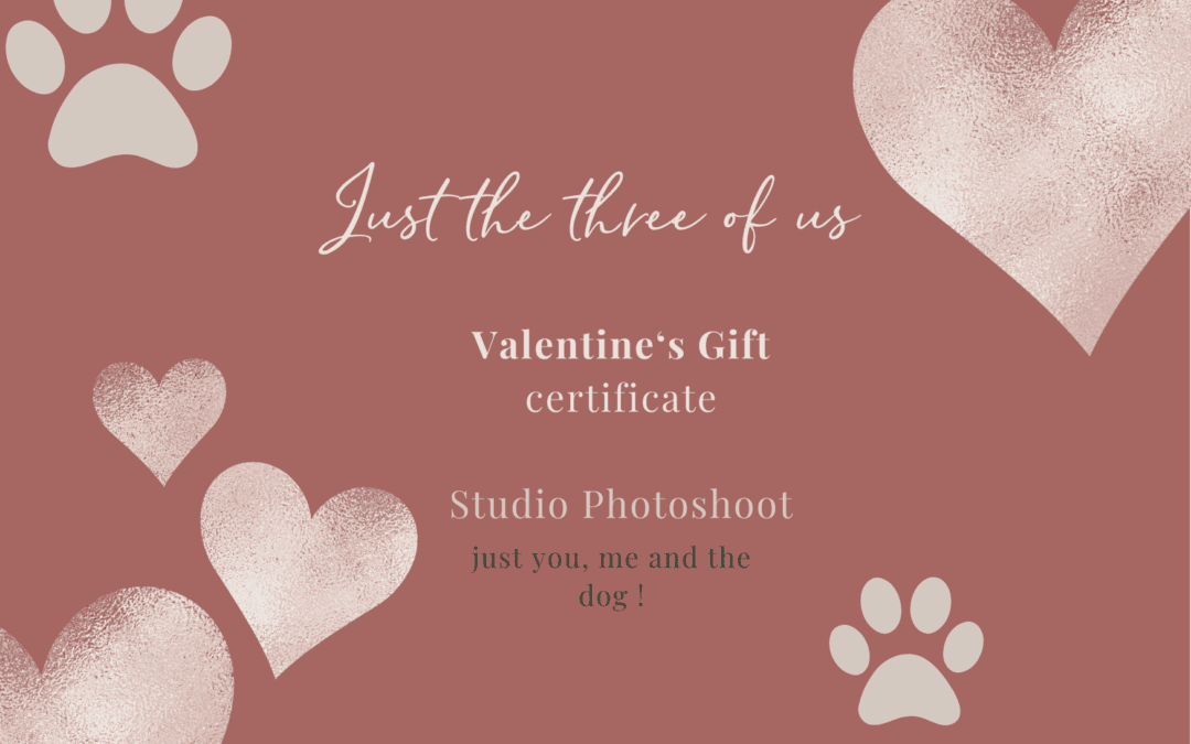Valentine’s Day Gifts – Dog and Us Photoshoot vouchers 2024 – East Grinstead