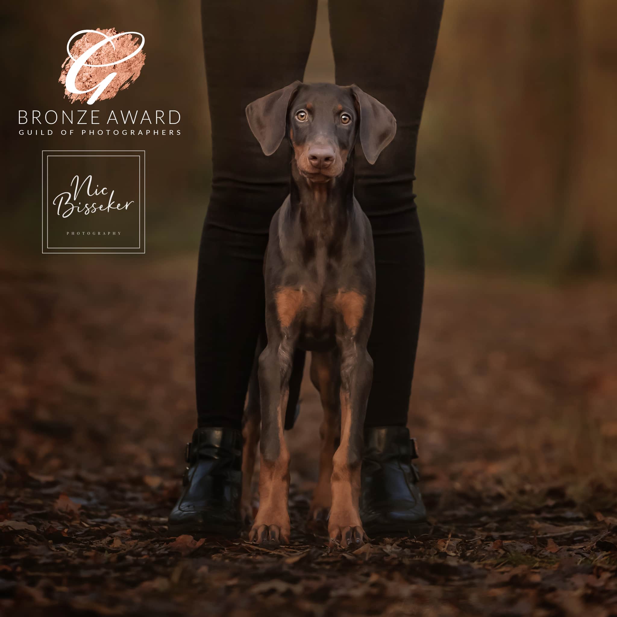 Nic Bisseker Photography Dpuppy photographer East Grinstead