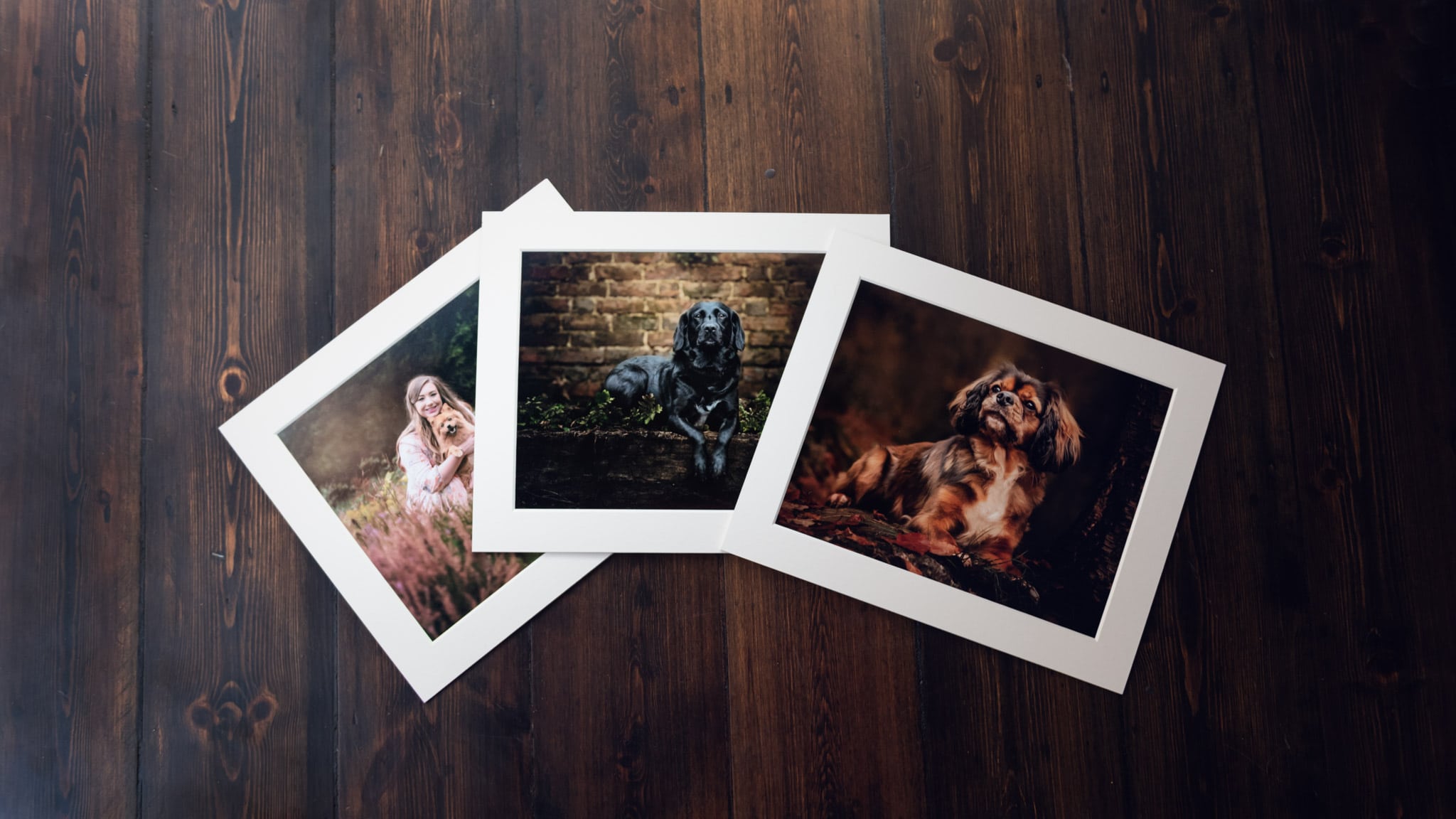 nic bisseker photography gift vouchers
