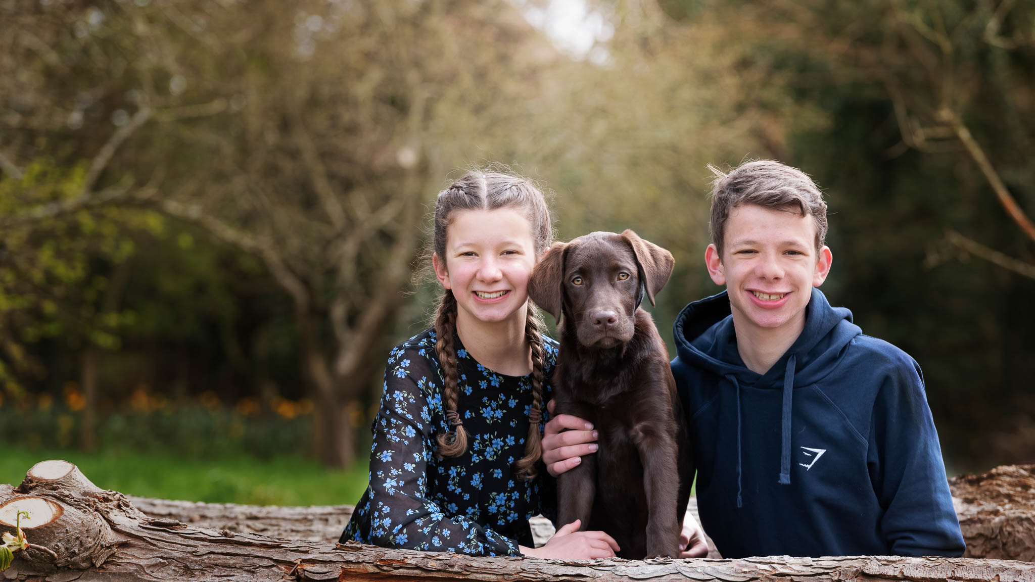 Nic Bisseker photography puppy photoshoot east grinstead