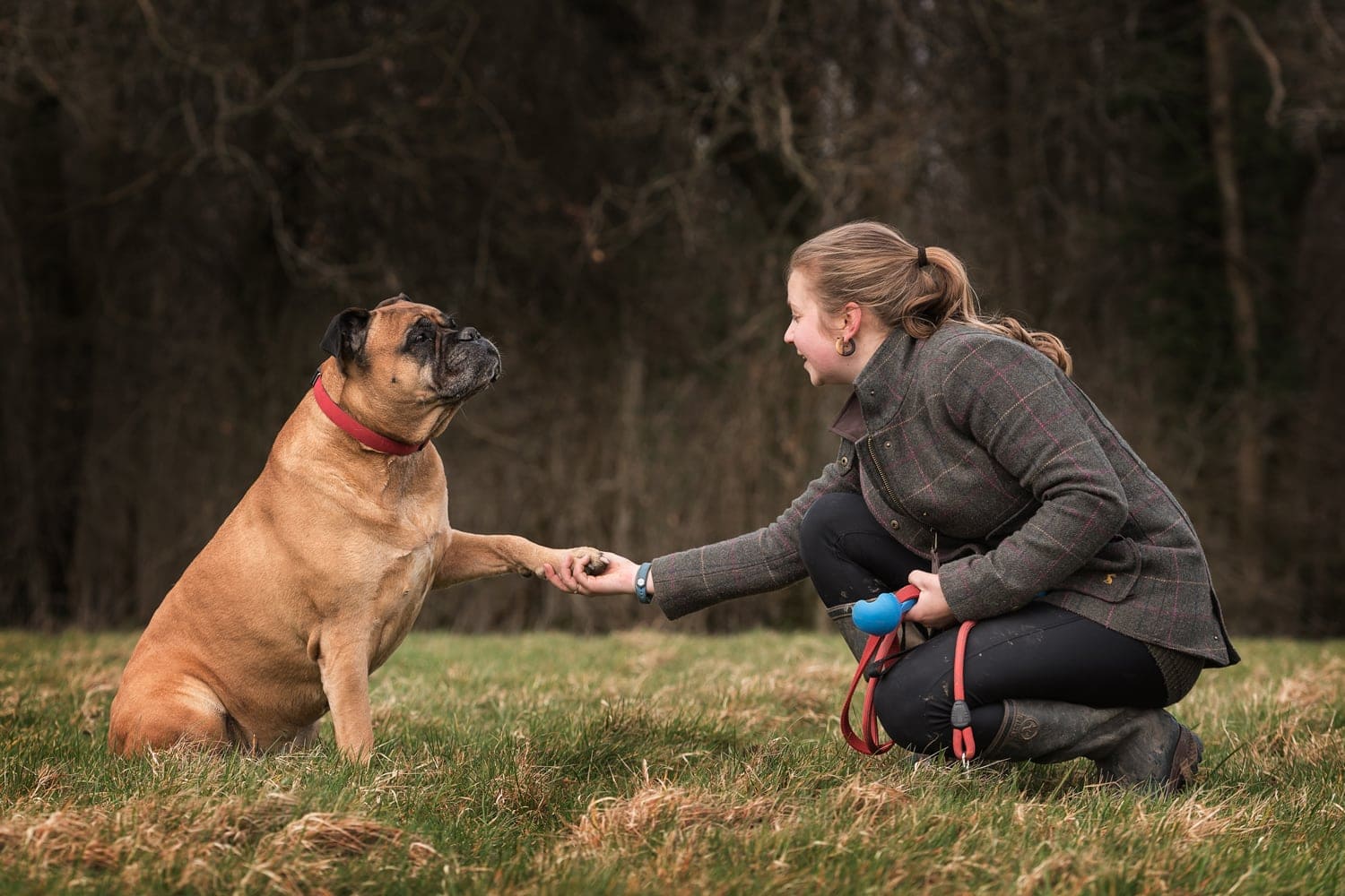 Happy Hounds Dog Walking, Crowborough – Branding Photoshoot