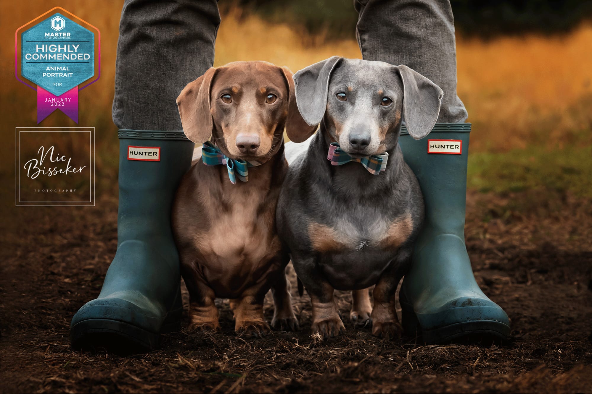 Nic Bisseker Photography outdoor dog photographer east grinstead